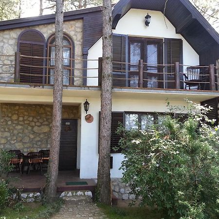 Guesthouse Bajka Vinci Екстер'єр фото