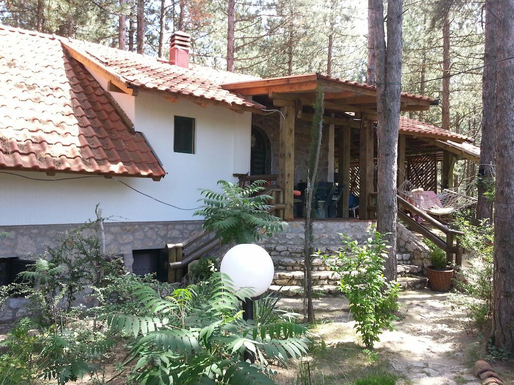 Guesthouse Bajka Vinci Екстер'єр фото